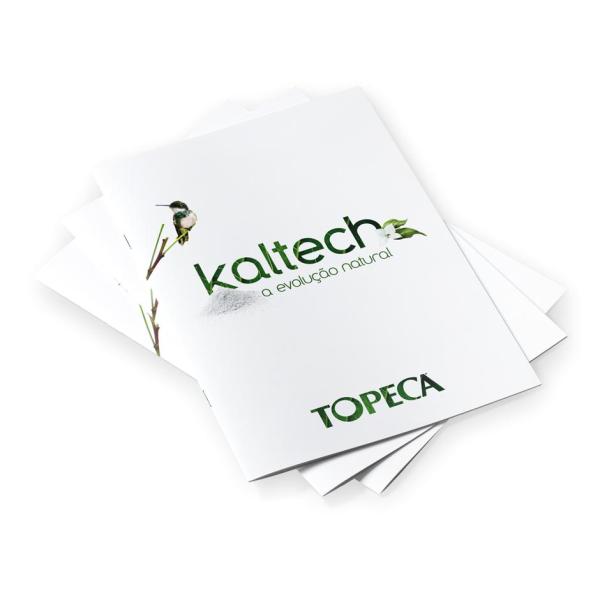 Manual produtos à base de cal - Gama Kaltech